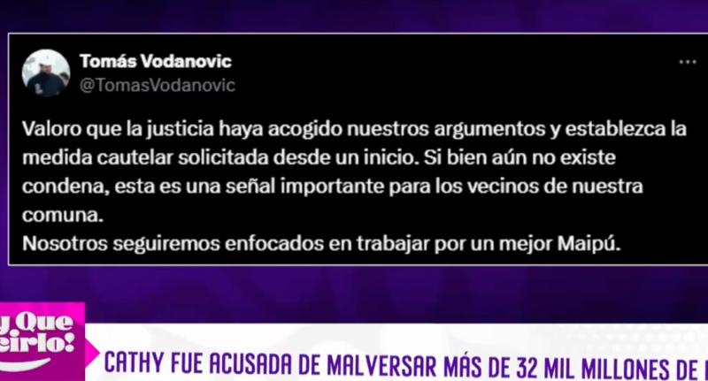 Tomás Vodanovic se pronuncia en X