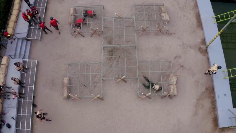 Competencia de equipos