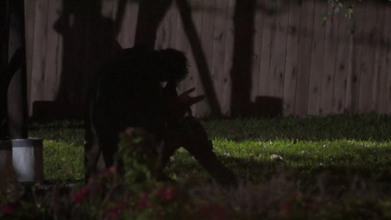 Marcianeke solo en el patio