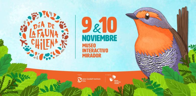 Conocer para valorar y proteger: ¡Celebra el Día de la Fauna Chilena 2024!
