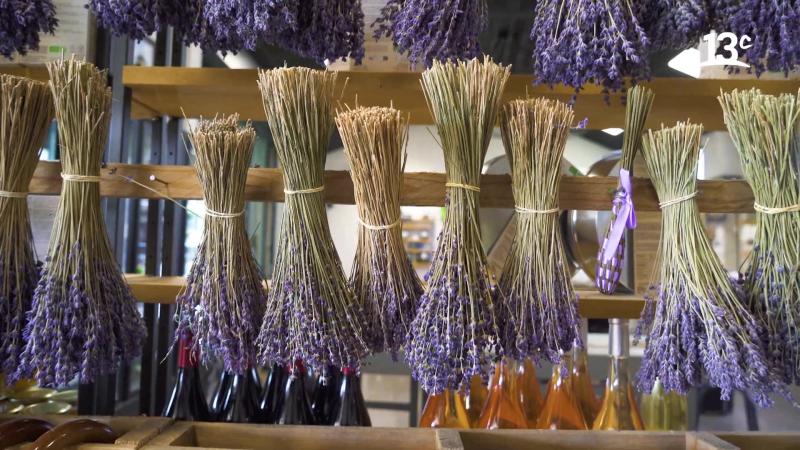Uso de la lavanda en Provenza, Francia.