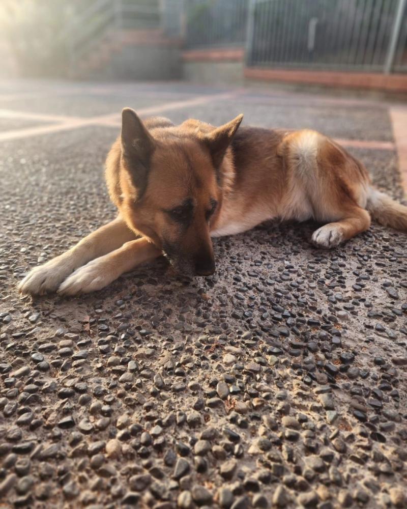 Equipo de "Tu Día" apoya al doctor Ugarte tras el reciente fallecimiento de su mascota