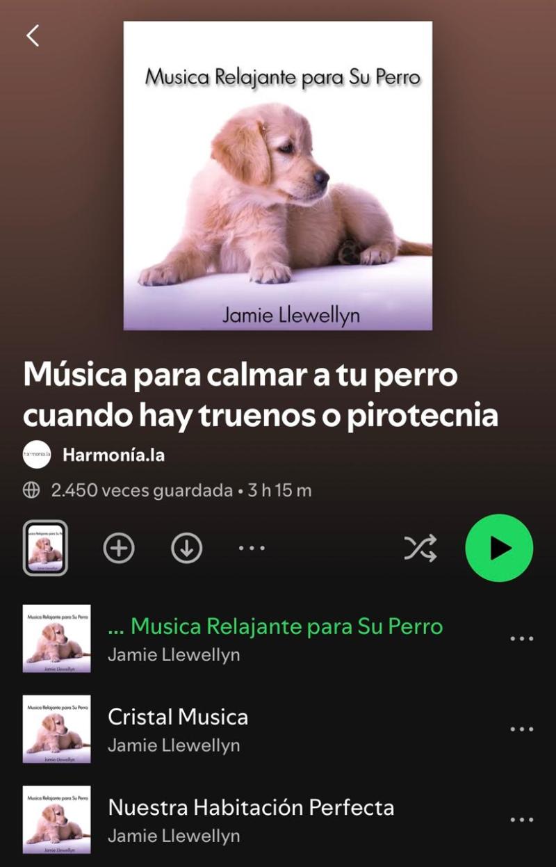 Lista de música para calmar a tu perro en Año Nuevo.
