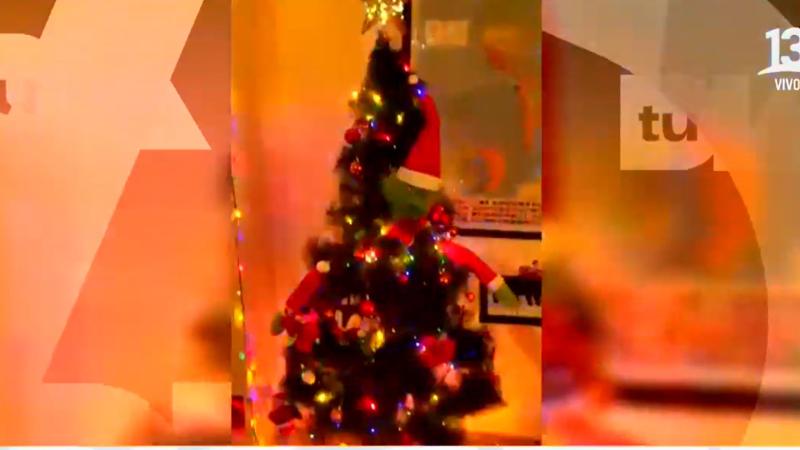 El renovado árbol de Navidad de José Luis Repenning