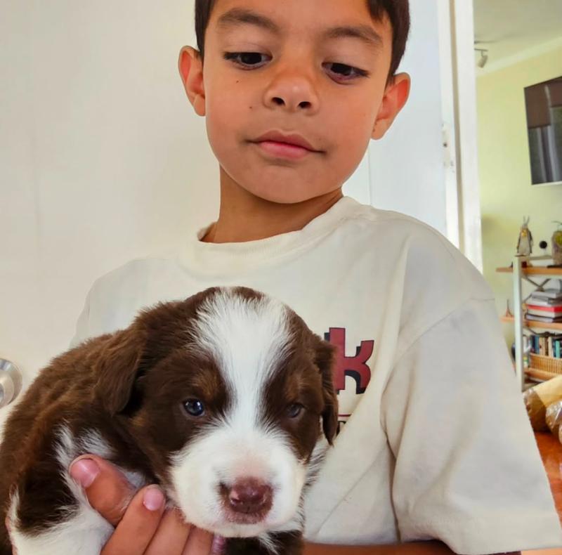 Gaspar, hijo de Sabrina Sosa y Claudio Valdivia - Instagram