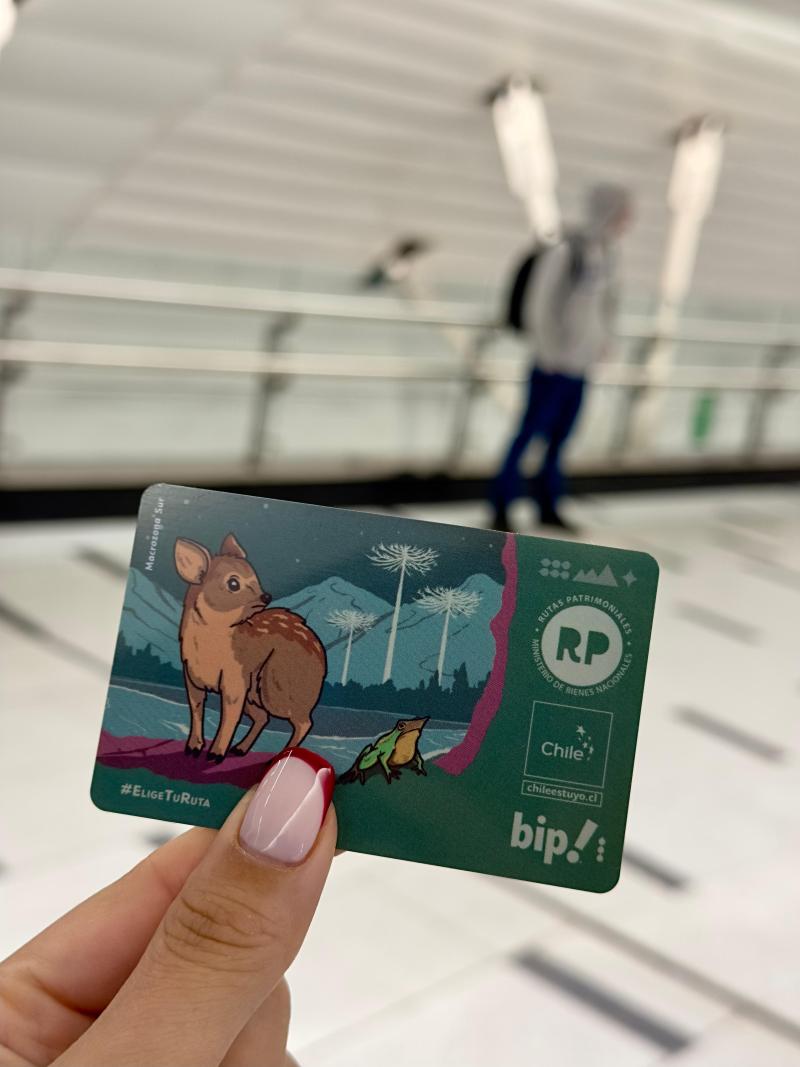 Tarjeta Bip! de la Macrozona Sur.