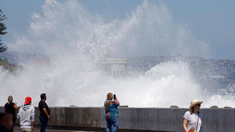 Michelle Adam revela si show de Año Nuevo en Viña y Valparaíso corre peligro por marejadas anormales - Créditos: ATON