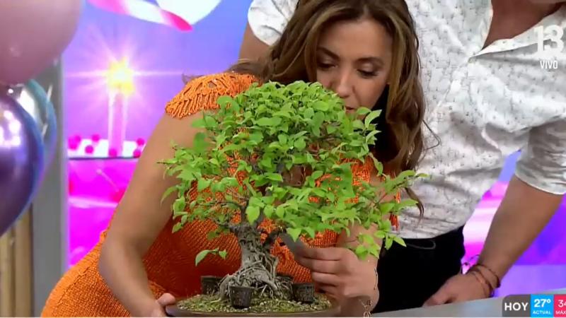 El regalo de José Luis Repenning a Priscilla Vargas