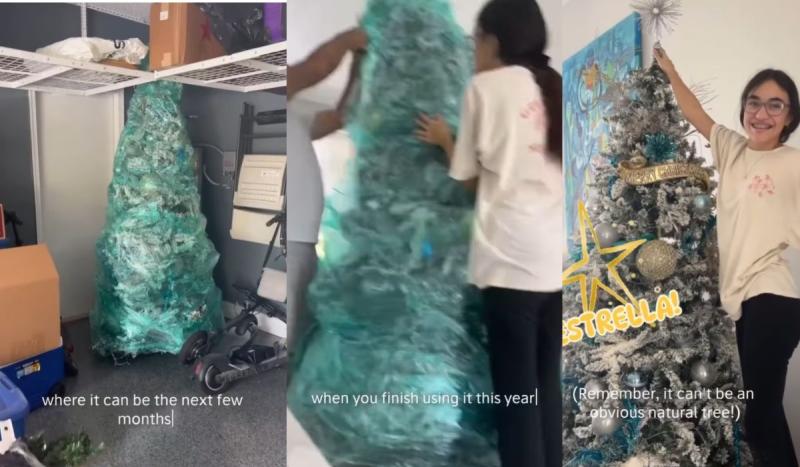 Ana Sol Romero explica interesante truco sobre cómo arma su árbol de pascua cada navidad