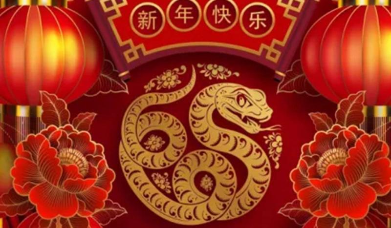 Predicciones para este 2025: llegada de la Serpiente de Madera