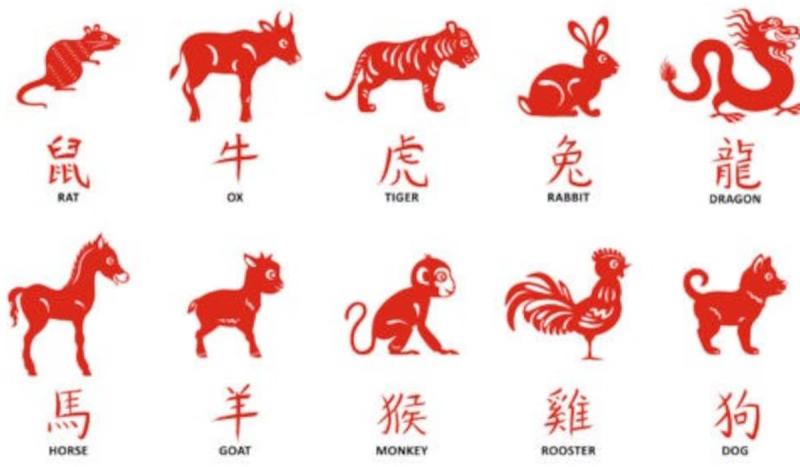 Horóscopo chino y sus predicciones 2025 con la llegada de la Serpiente de Madera