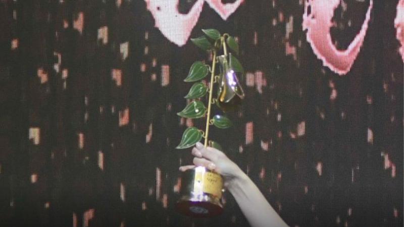 Estos son los rostros y programas de Canal 13 que HOY podrían ganar en los Copihue de Oro - Créditos Agencia Uno