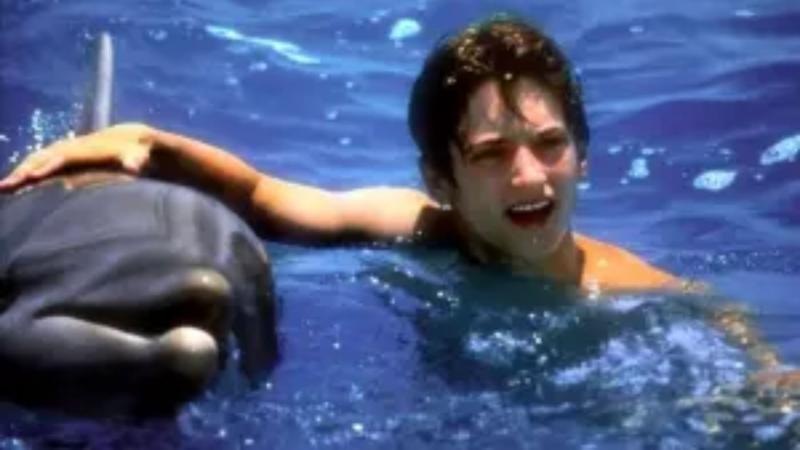 "Flipper" por Canal 13