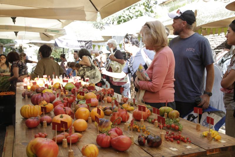 Vuelve el Día del Tomate en el MUT: una fiesta para celebrar su sabor y diversidad