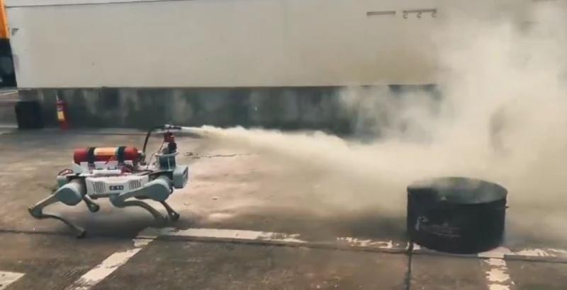 Perro robot en China.