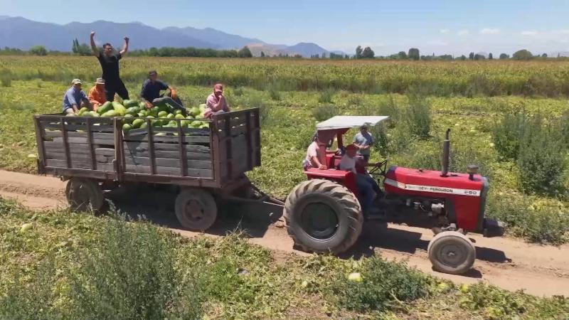 Pancho, Jorge y Pedro Ruminot en Socios por Chile