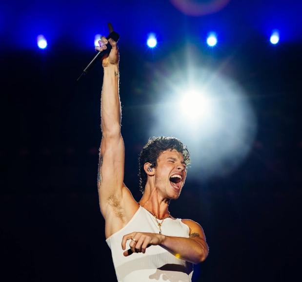 Shawn Mendes | Instagram