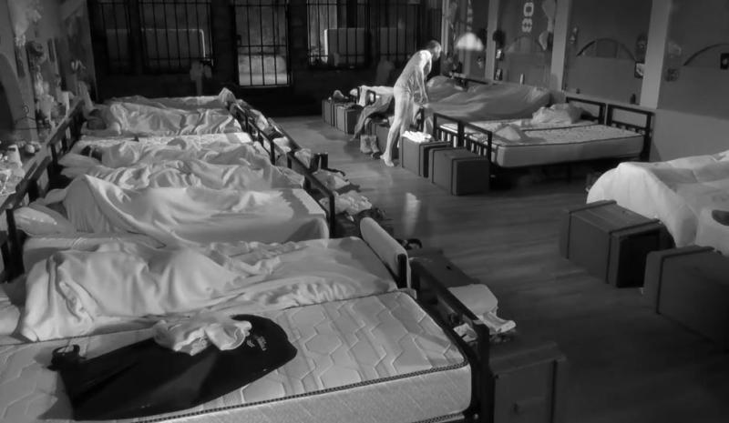 Vico despierta a Fabio