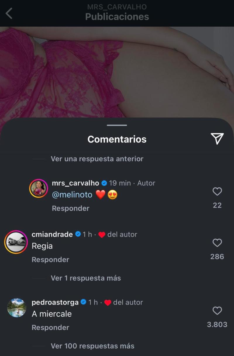 Pedro Astorga le comenta la foto a Michelle Carvalho.