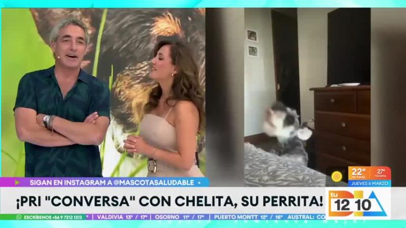 Doctor Ugarte habla de los beneficios de tener un perrito.