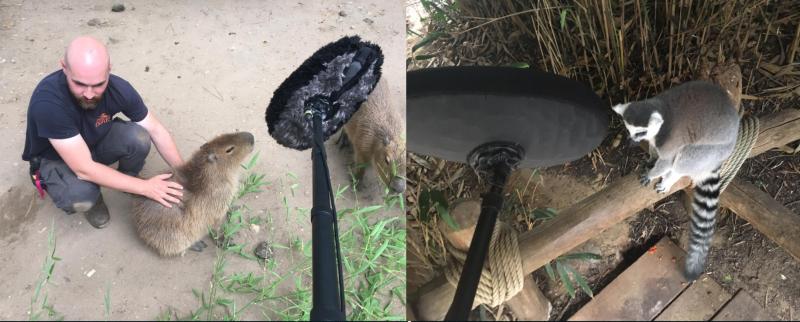 Equipo de Flow grabando los sonidos de los animales.