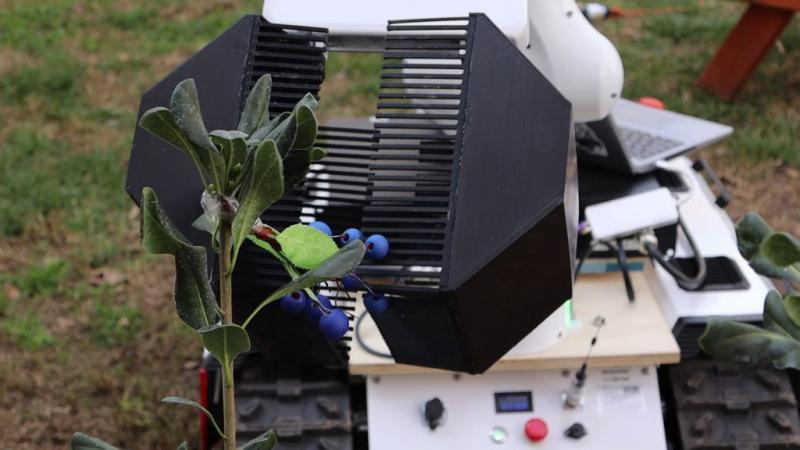Este es el robot agrícola creado por equipo de investigadores de Ingeniería UC. Créditos: Ingeniería UC.