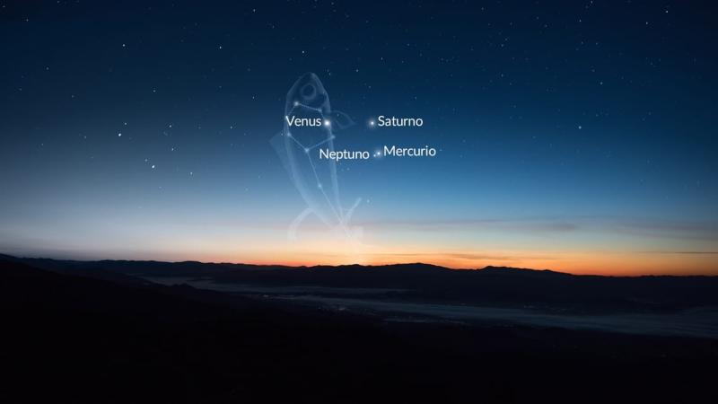 Venus, Saturno, Mercurio y Neptuno en una alineación planetaria el 17 de abril de 2025, visto desde el Hemisferio Sur. Créditos: Vito Technology, Inc.