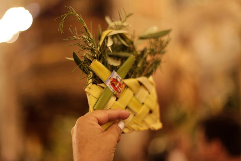 Semana Santa 2025: Qué es Domingo de Ramos y cuándo se conmemora