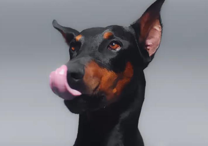 Kel Calderón y perro de Claudio Iturra | Instagram