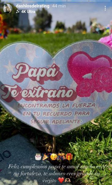 Historia de Dash - Instagram