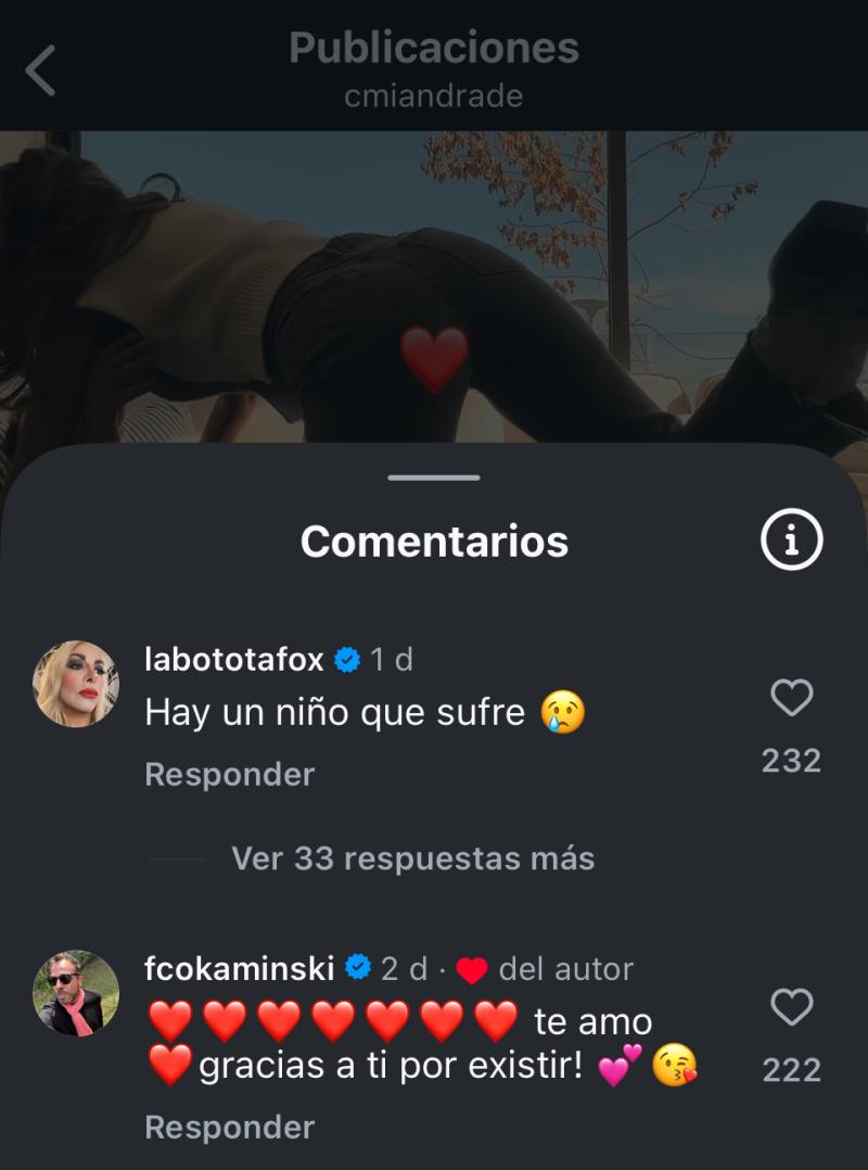 Botota Fox comenta publicación de Camila Andrade - Instagram