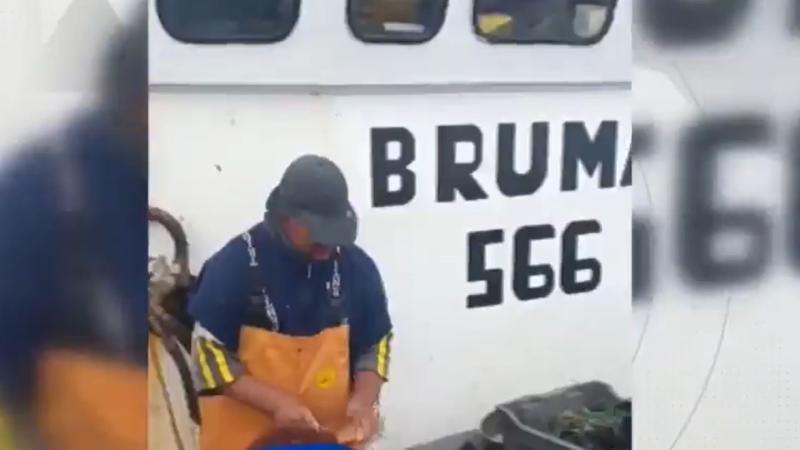 El video de la tripulación de la lancha "Bruma"