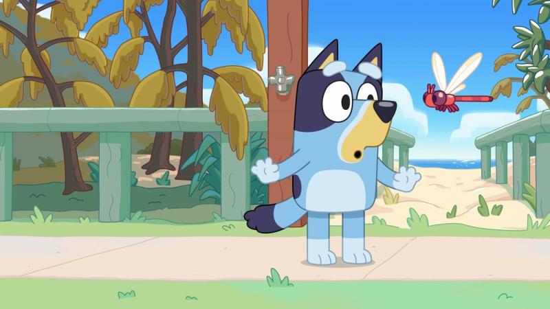 Bluey en Chile.
