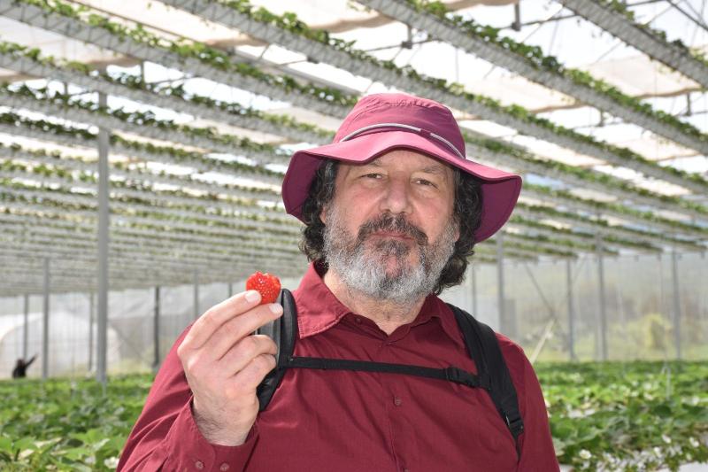 Profesor Nicola Fiore, académico y vicedecano de la Facultad de Ciencias Agronómicas de la Universidad de Chile. Créditos: U. de Chile.