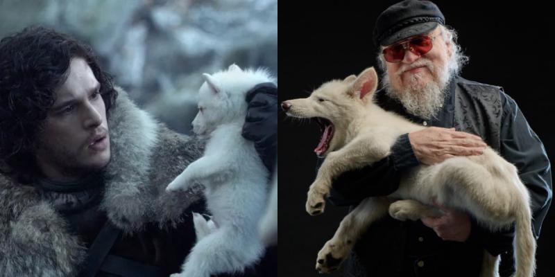 El autor de los libros de "Game of Thrones", George R.R. Martin, compartió una foto con un lobo terrible modificado por Colossal.