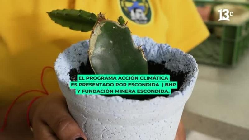 Acción Climática: Conoce el programa que enseña a niños y niñas de Antofagasta a enfrentar el calentamiento global