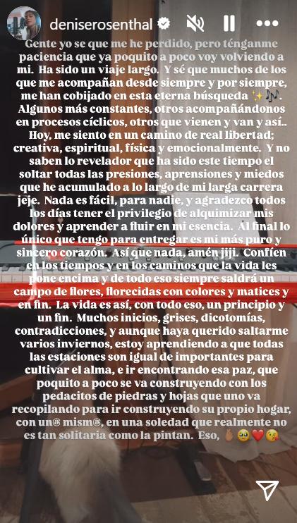 Historia de Denise Rosenthal | Instagram