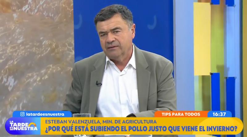 Posible alza en los precios del pollo en nuestro país.