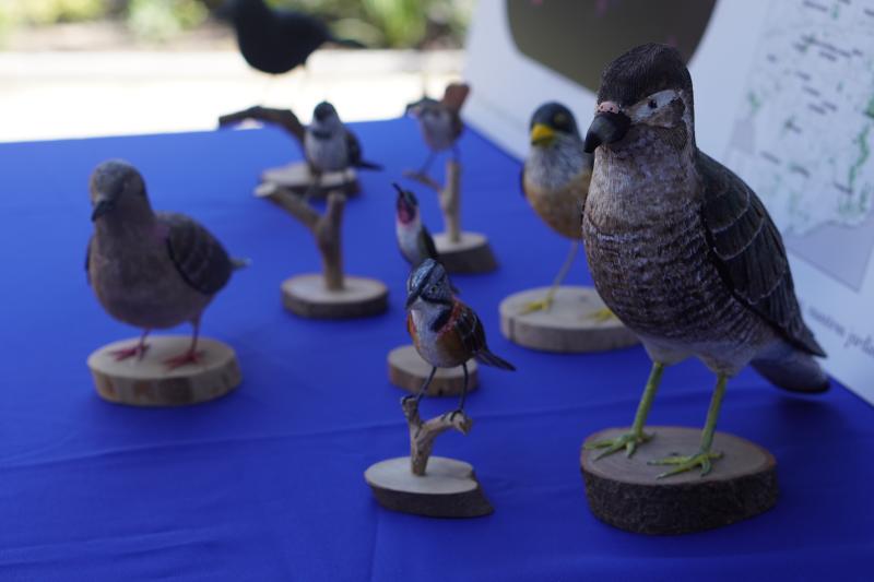 Día de la Biodiversidad: Feria ecológica reúne ciencia, naturaleza y sociedad en pleno centro de Santiago. Créditos: CAPES UC