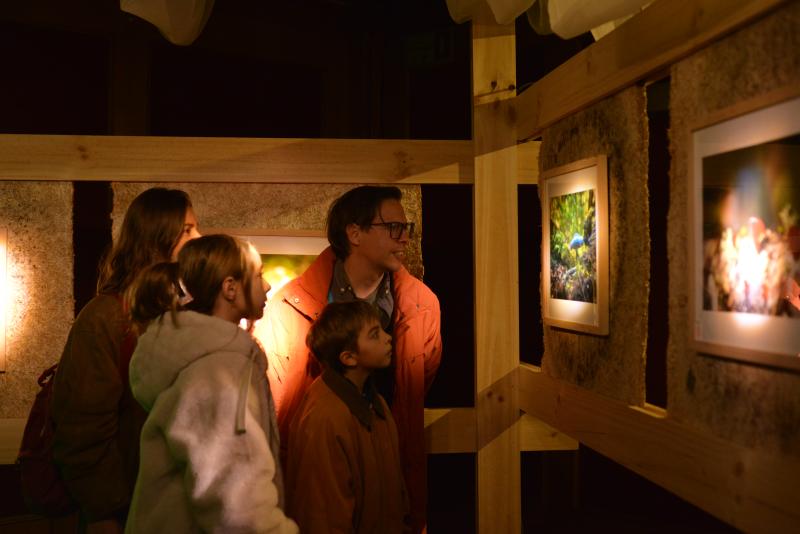 Festival Mundo Fungi