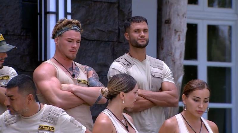 Faloon elige a Daniela para competir por la semifinal