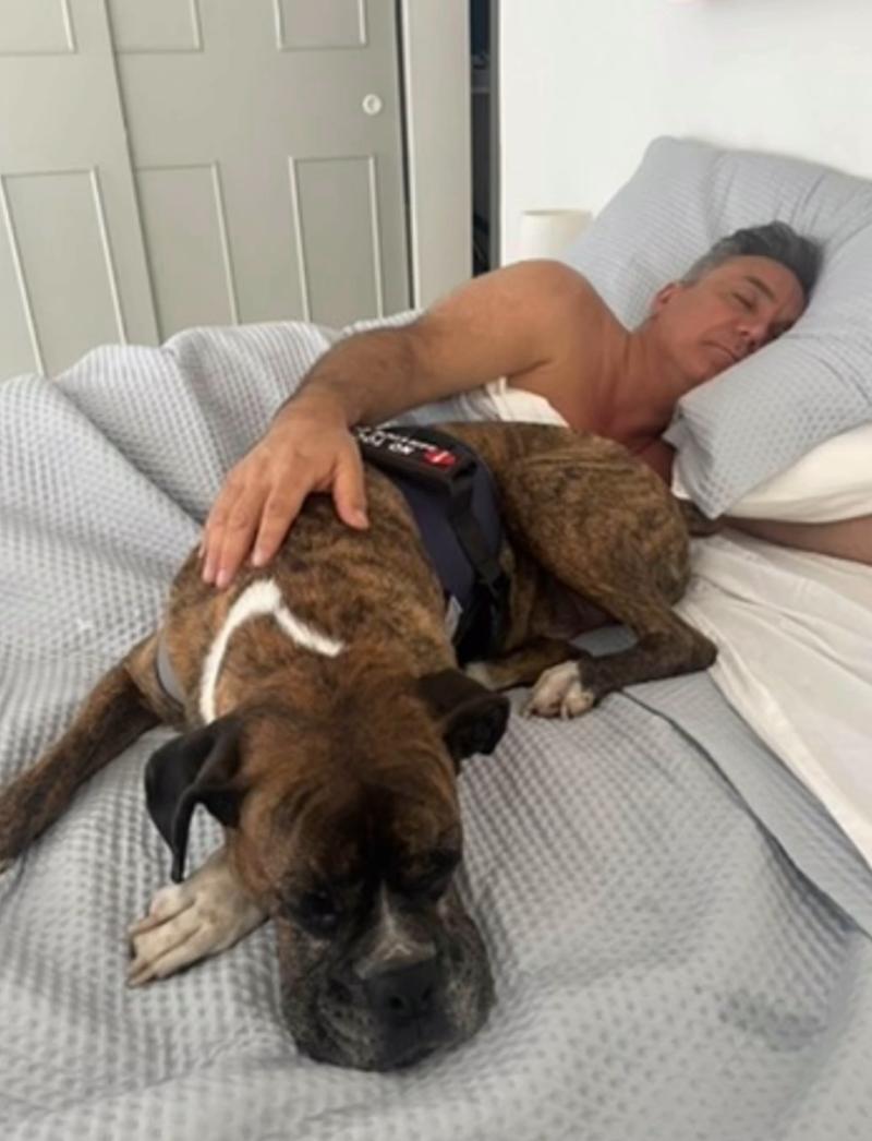 Luis Jara y su perro Hulk- Instagram