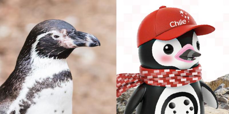 Chiri-Chan: conoce a la mascota que representa a Chile en la Expo Universal Osaka 2025