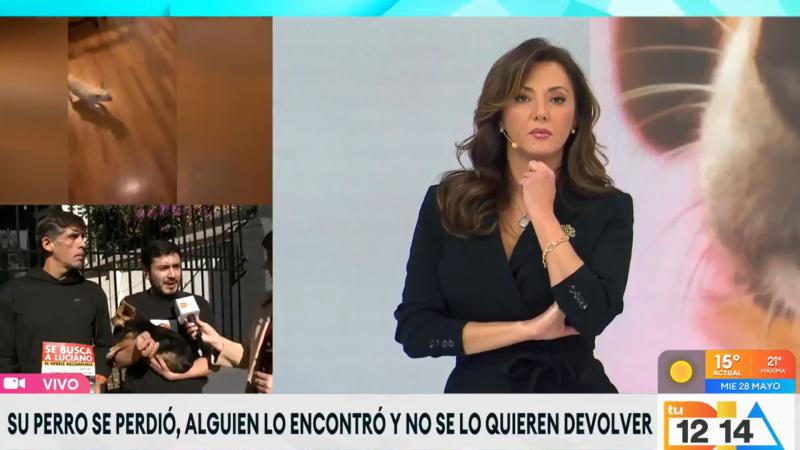 Los dueños del perro Luciano de Santiago