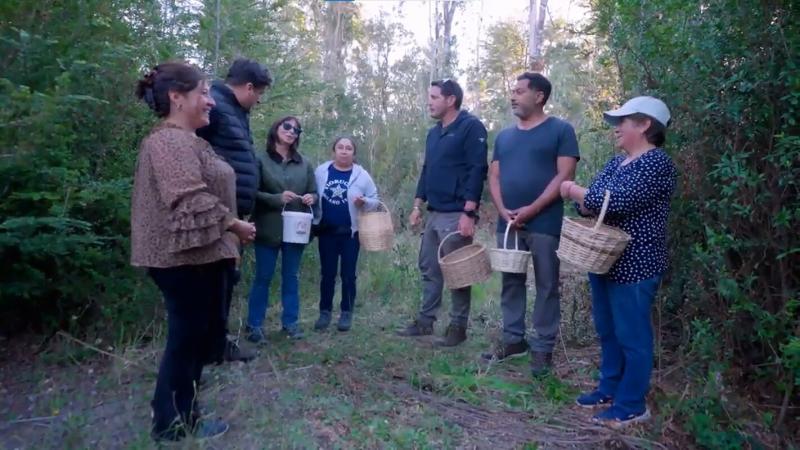 Socios por Chile - Canal 13