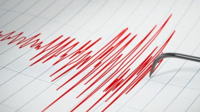 Amenaza de tsunami tras terremoto en Puerto Williams