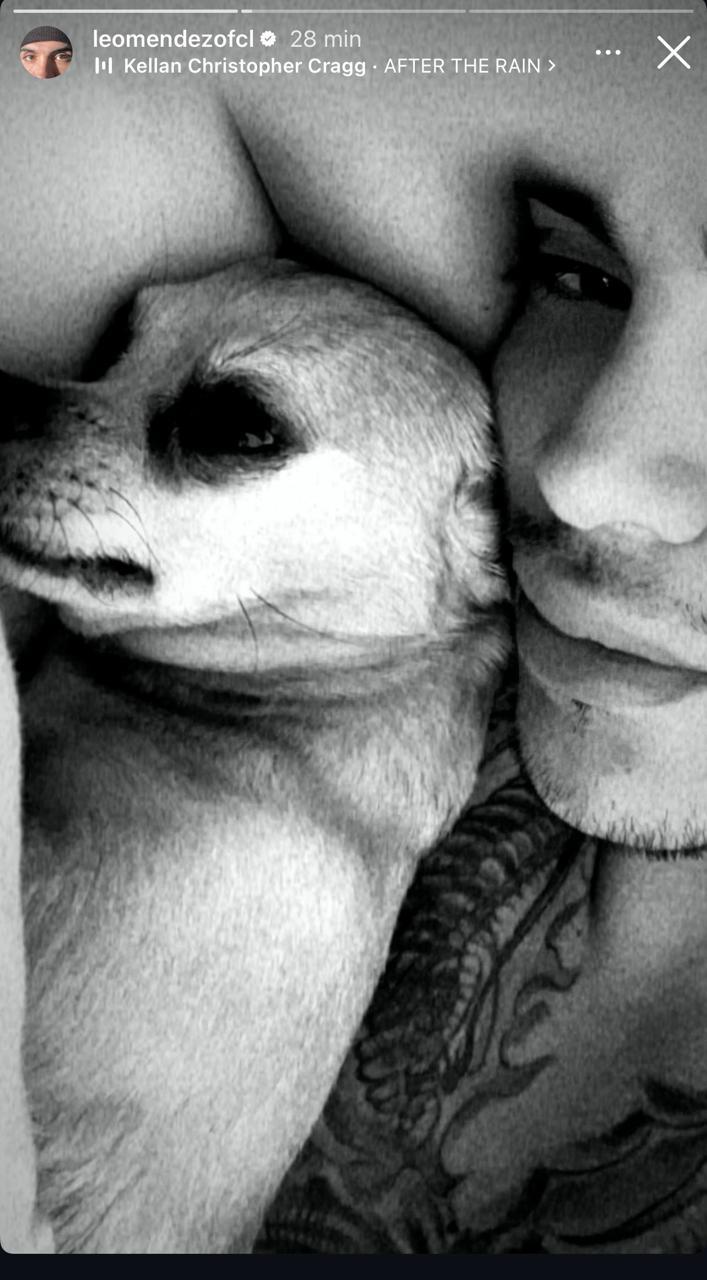 Historia de Leo Méndez Jr. | Instagram