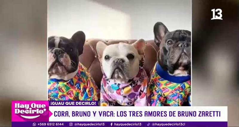 Los perritos de Bruno