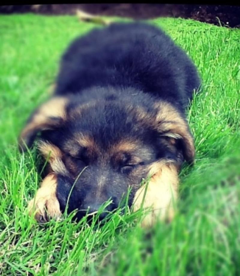 Mariana Loyola - Instagram