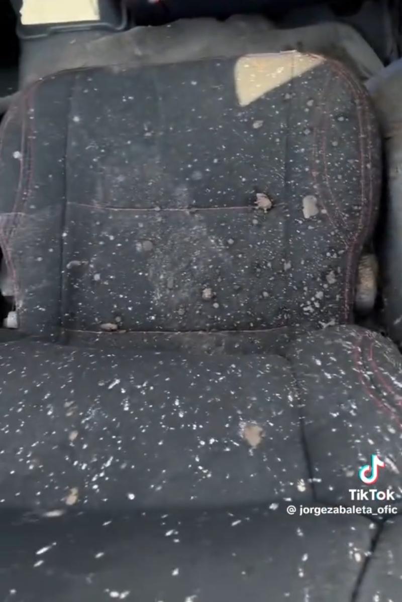 Jorge Zabaleta - TikTok